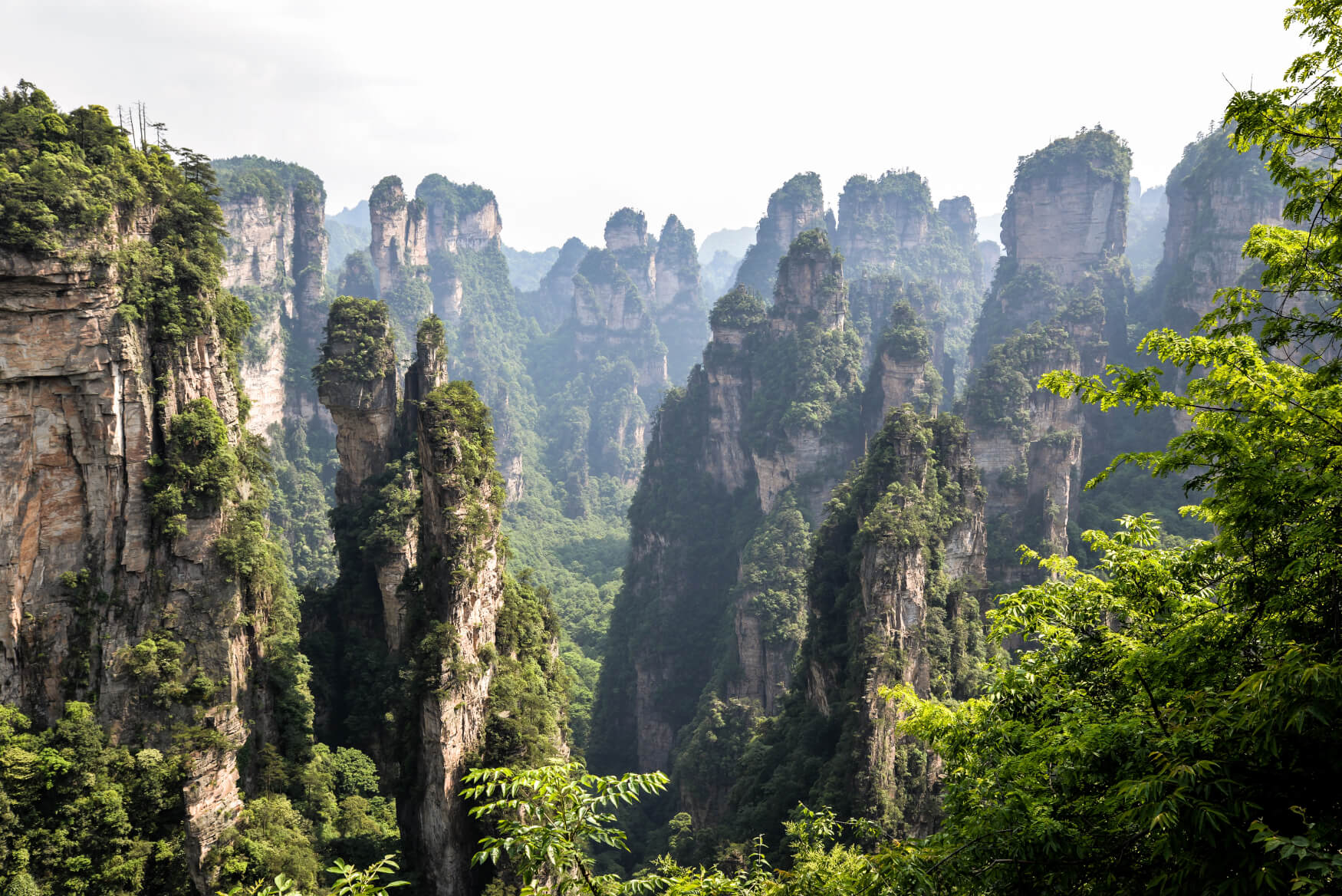 Klioh Studio Website Graphic Design Karen Koramshai